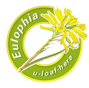 Eulophia Tours and Travel - Day Tours