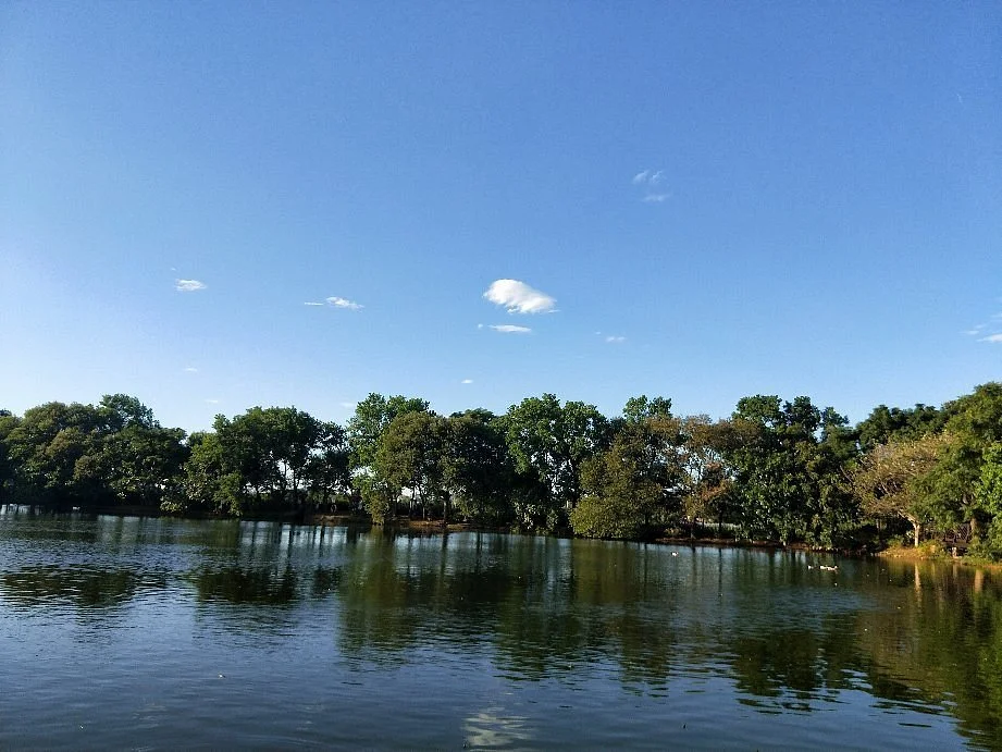 Bade Pond Ecological Park