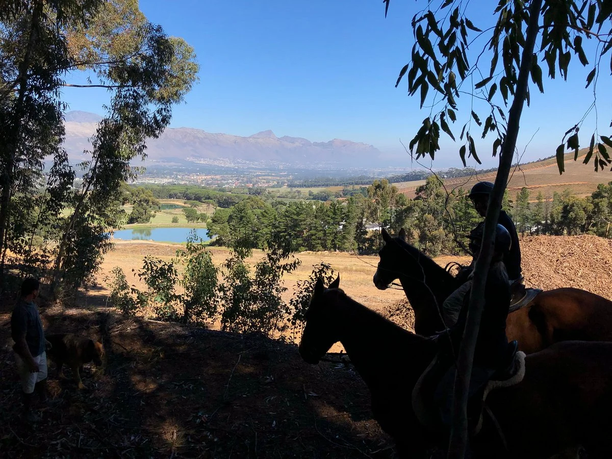 Journey's End Horsebackrides