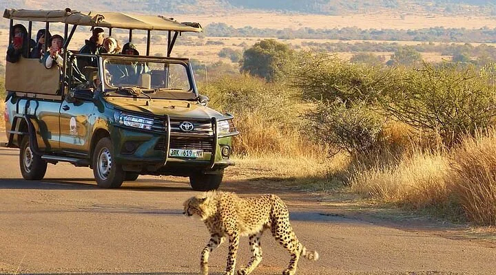 Pilanesberg National Park