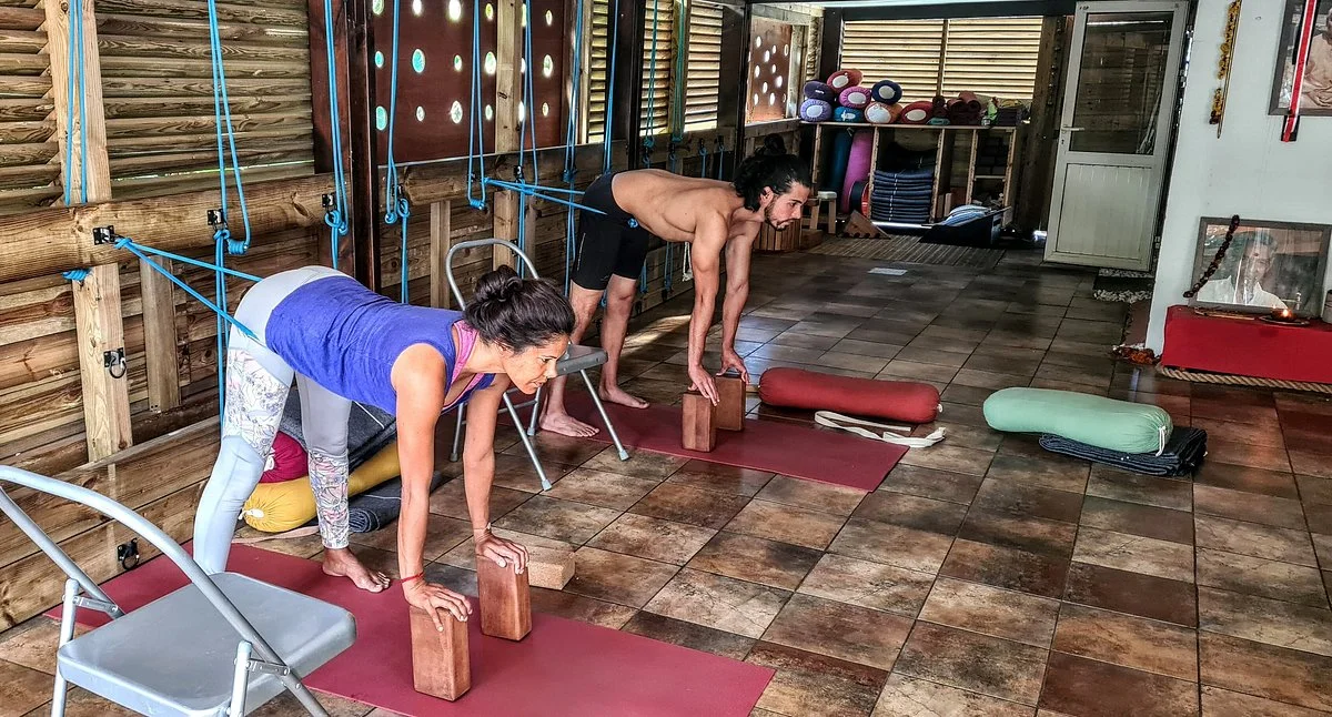 Venkatesananda Ashram Yoga Et Ayurveda