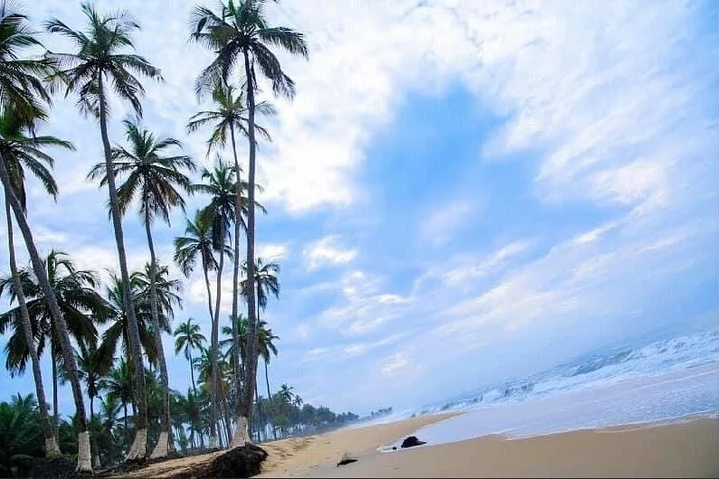 ABUSUA TRAVELS