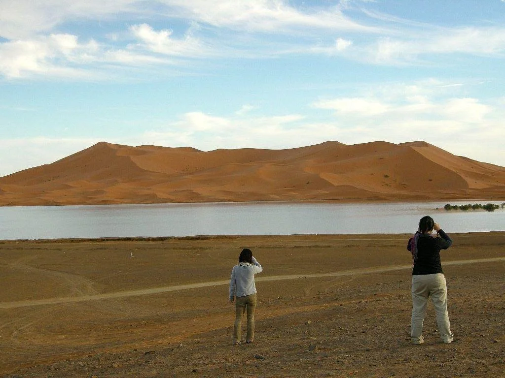 Hamada Travel
