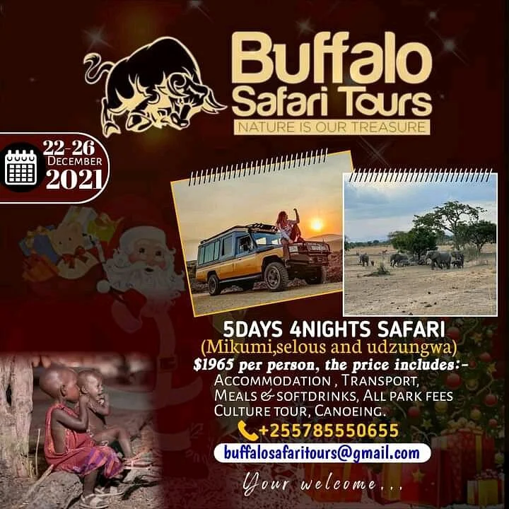 Buffalo Safari Tours