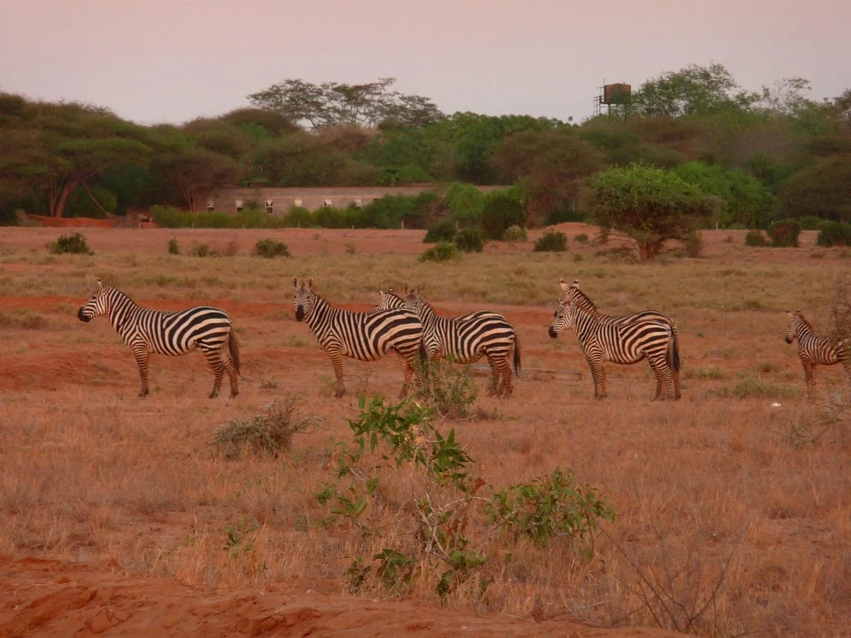 East Africa Adventure - Day Tours