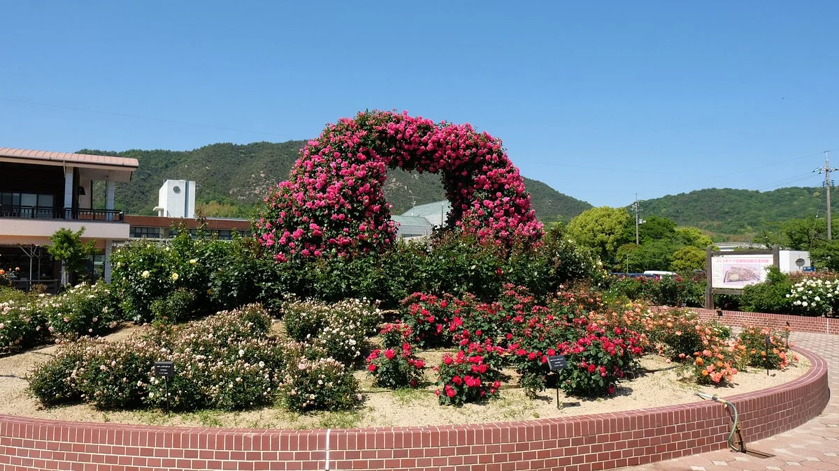 Yoshiumi Rose Park