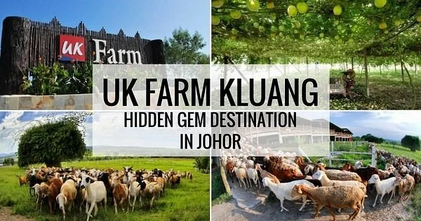 UK Farm