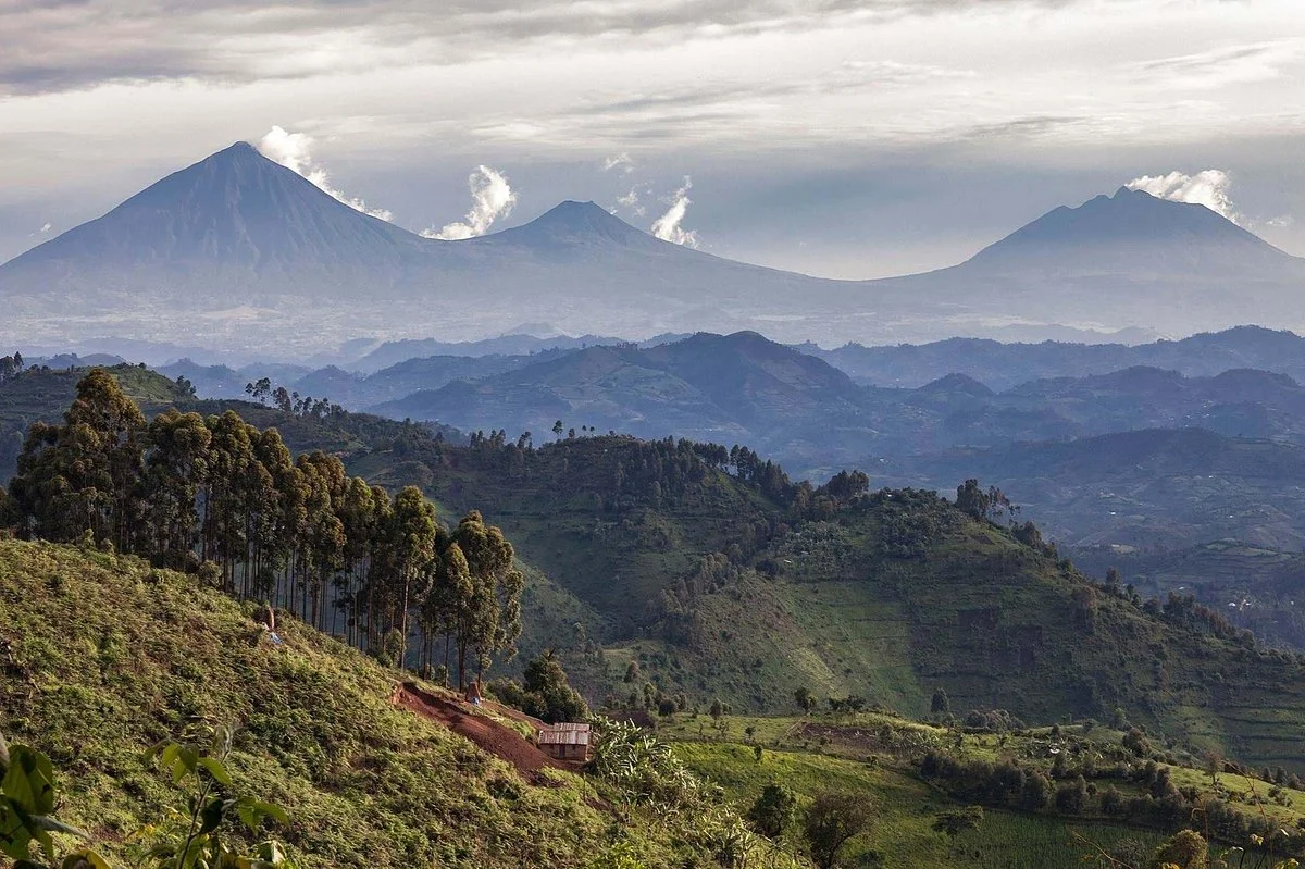 Rwanda Tourists and Travel Agency