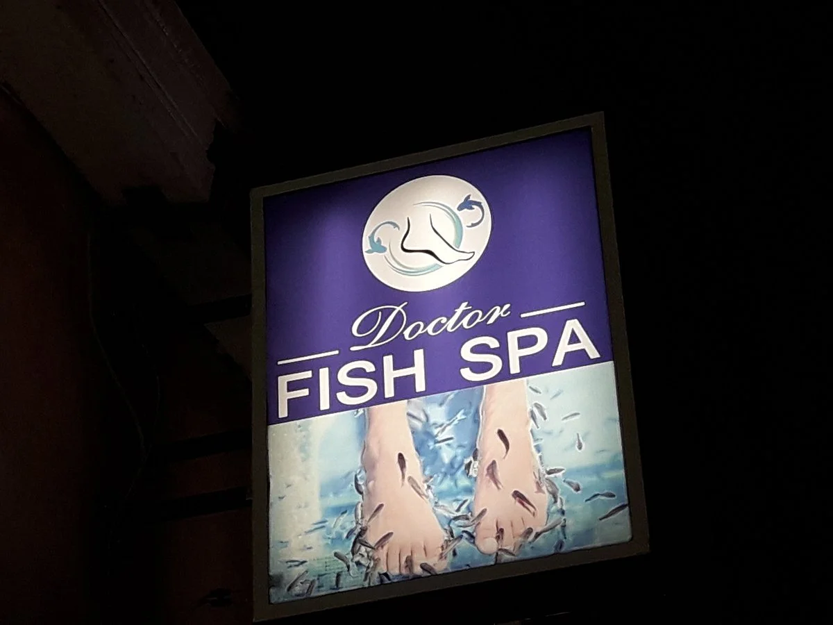 Doctor Fish Spa
