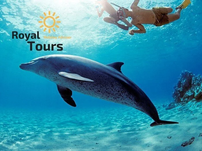 Royal Tours Eg