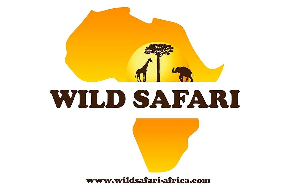 Wild safari africa