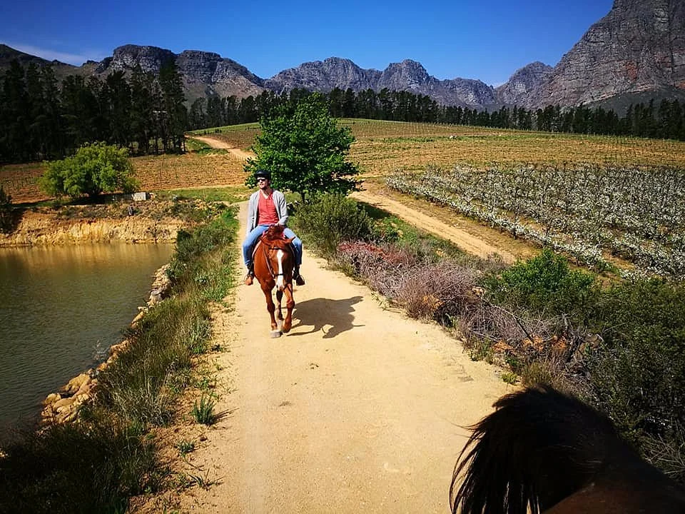Alpha Equestrian
