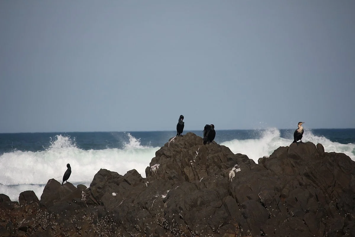 Cannon Rocks Beach