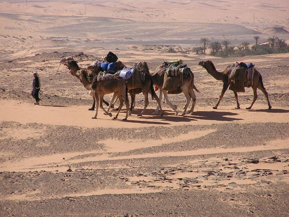 Dejerba Evasions et Loisirs