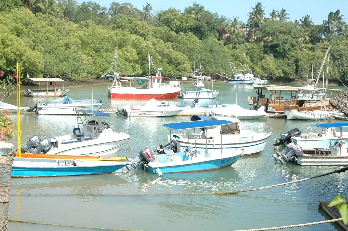 Walter Brun - Mtwapa Fishing