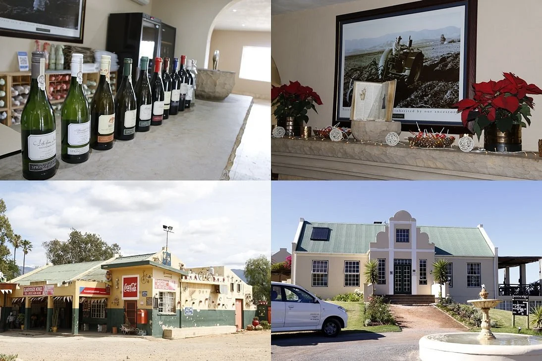 Dave's Tours & Transfers