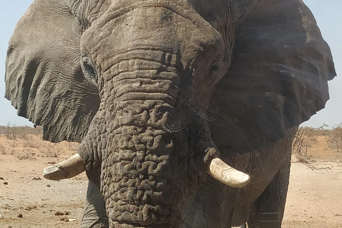 Oshili Namibia Travel and Tours CC
