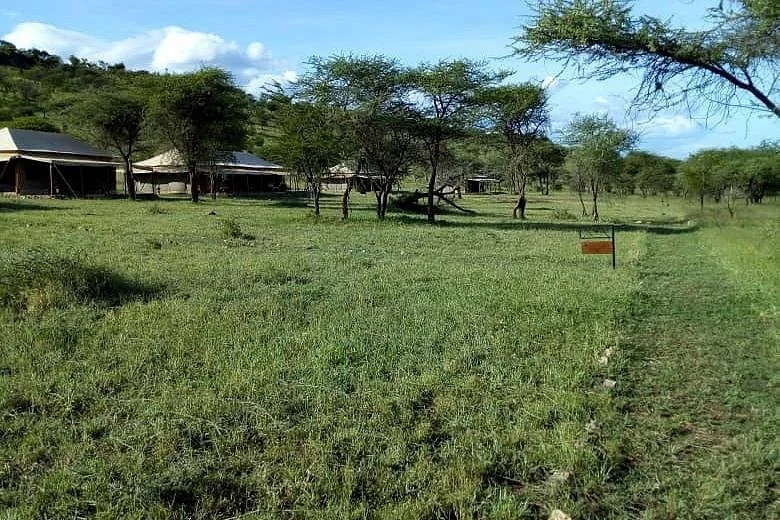 Serengeti Pure Luxury Camp