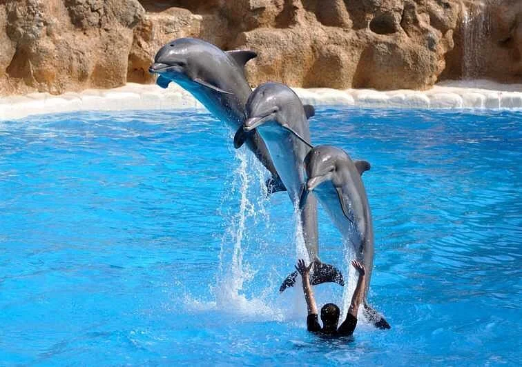 Alex Tours Hurghada