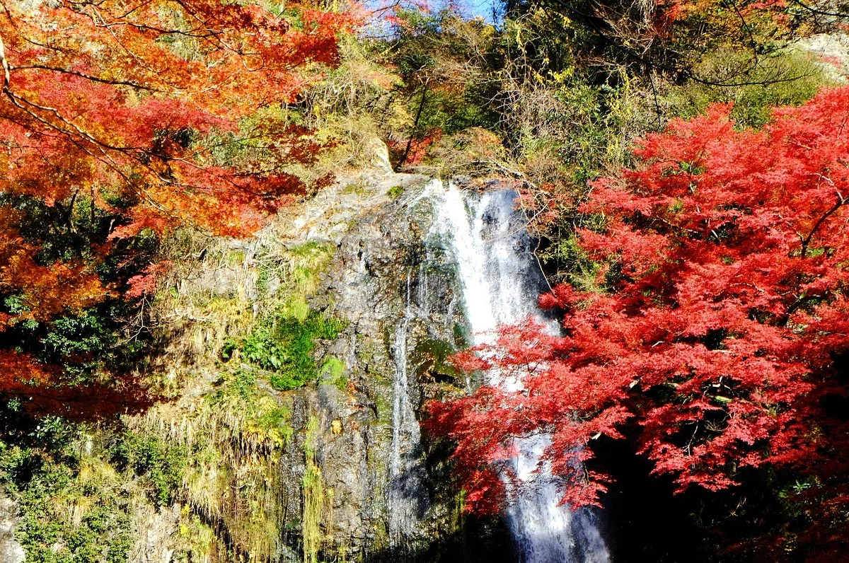 Minoo Park