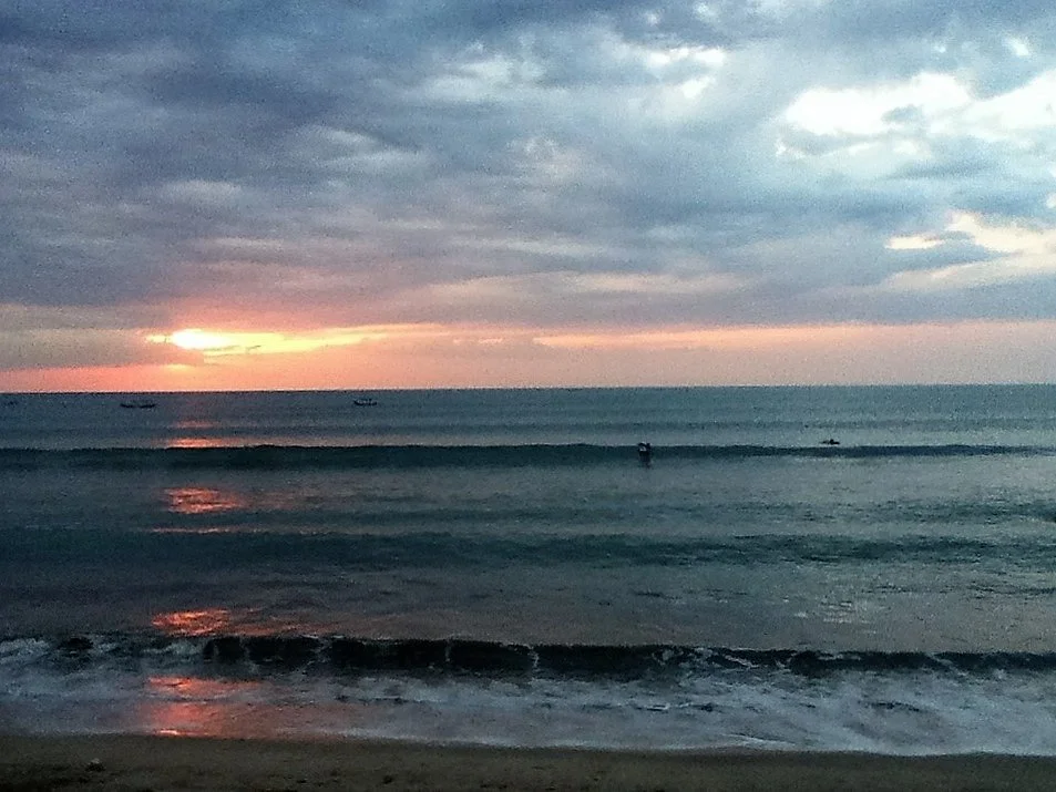 Bali Sea Turtle Society (BSTS)