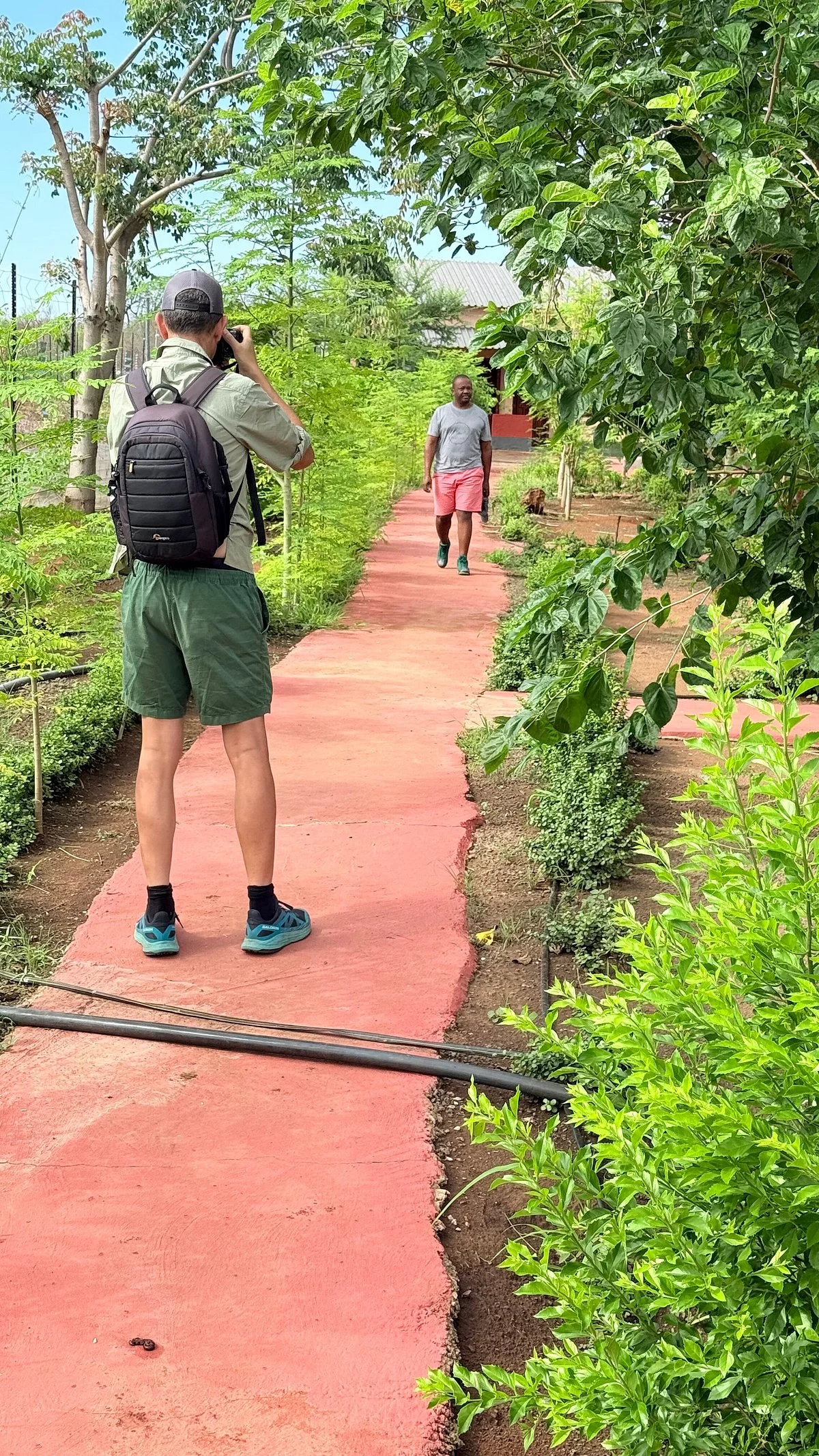 Wild Cars & Guides