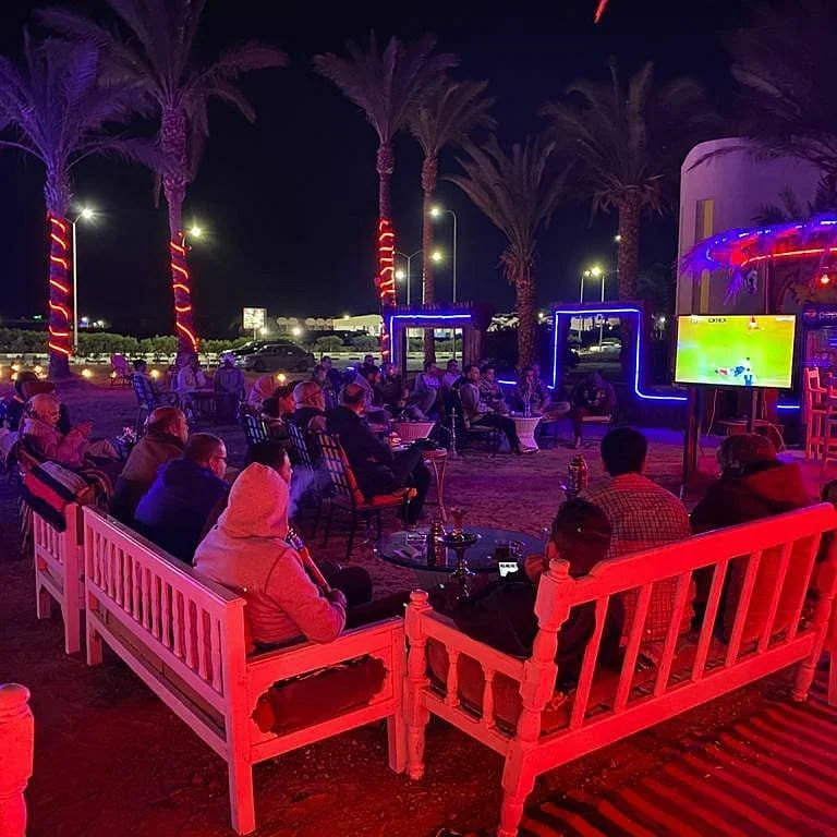 Palm Chill Out