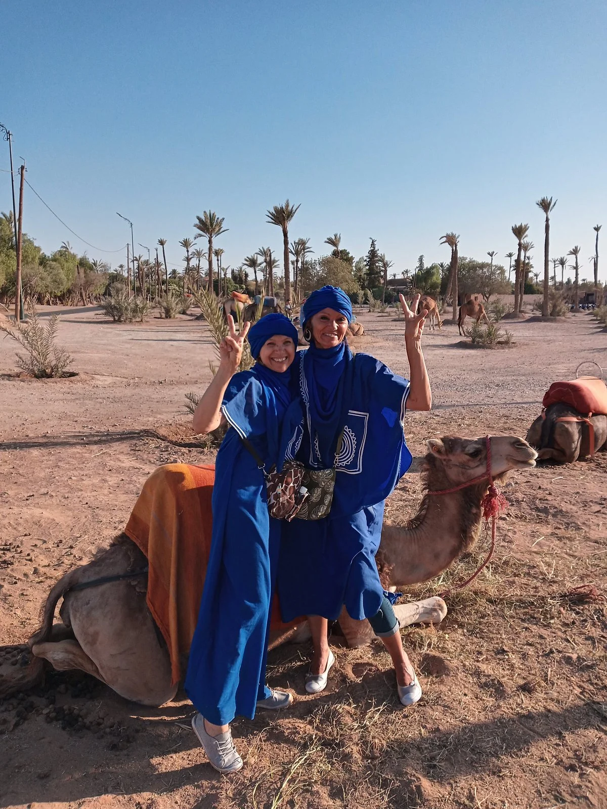 Marrakech Taxis