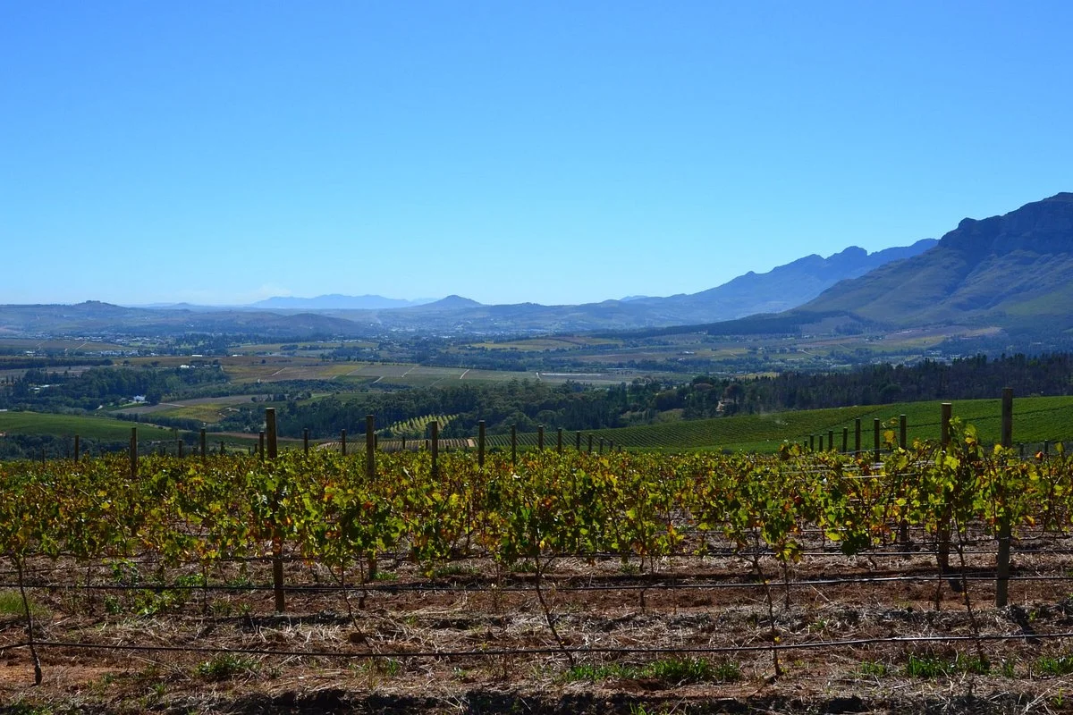 Cape & Kruger Tours