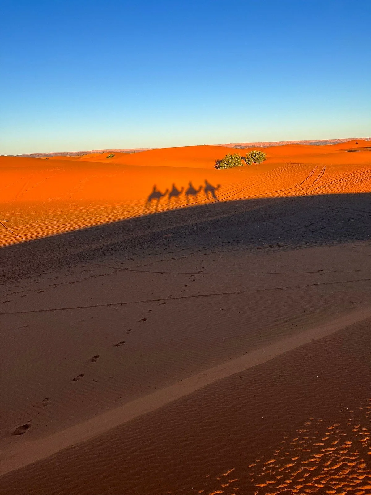 A Moroccotour