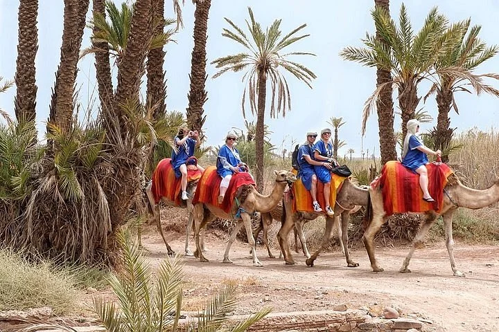 Destination Services