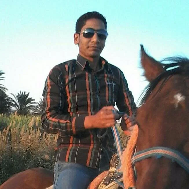 Luxor tour Operator