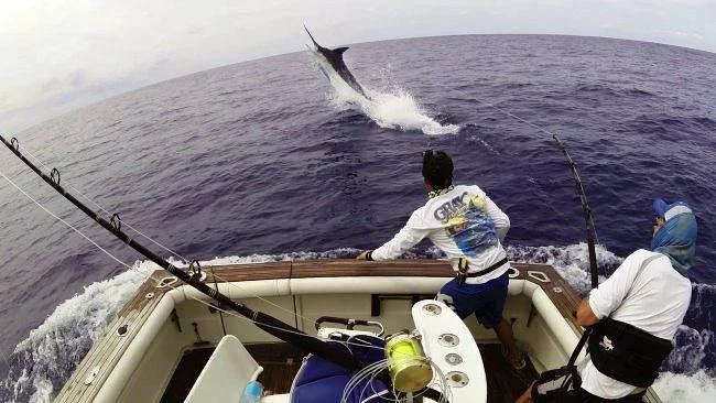 Cabo Verde Fishing Center