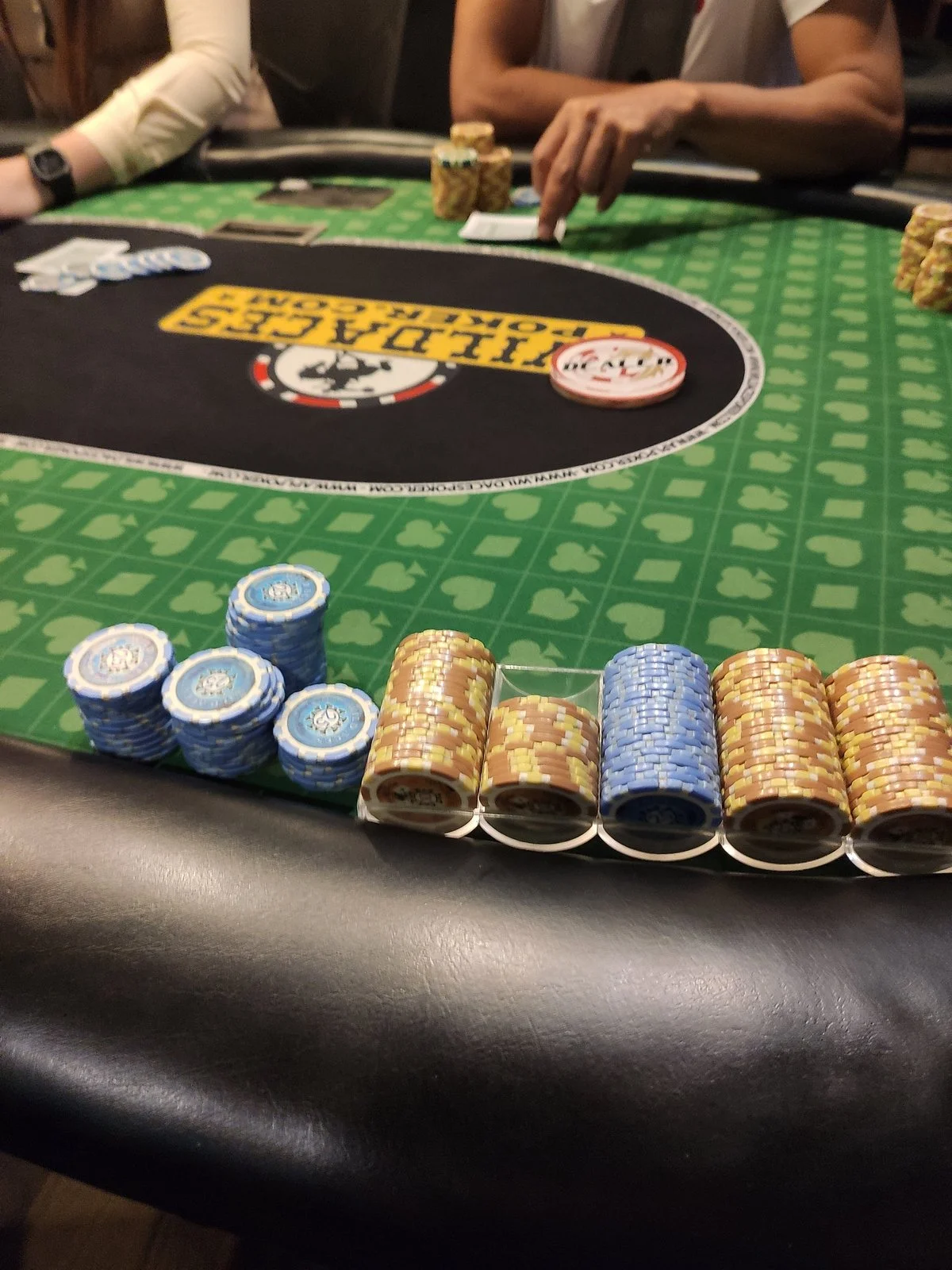 Wild Aces Poker Sports Club