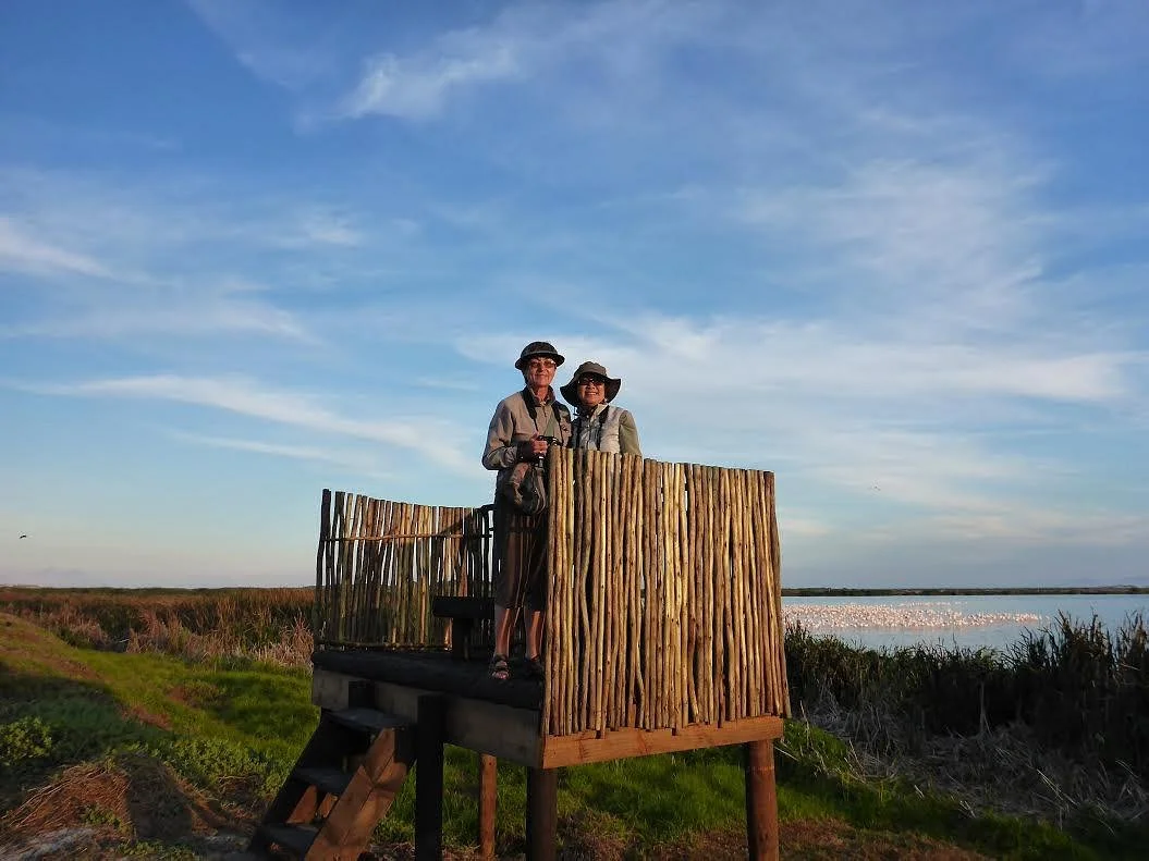 Cape Eco-Tours