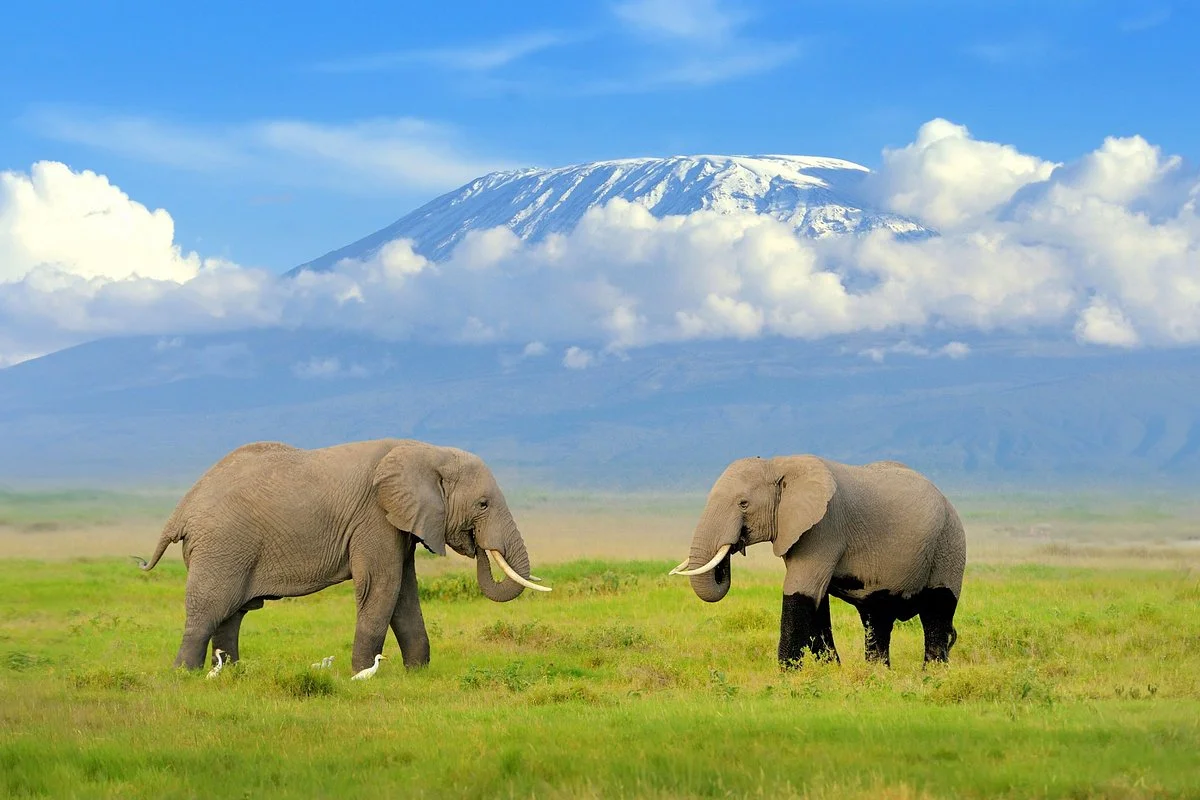 6 Days Kenya Classic Safari