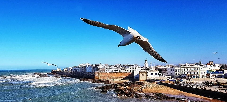 Morocco Travel Line