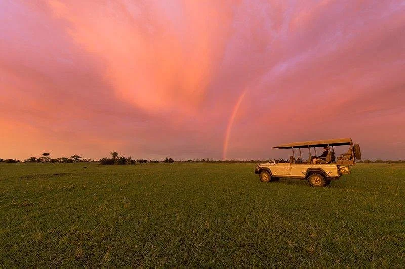 Authentic Safari Travels