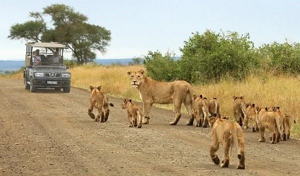 Baobab Tours