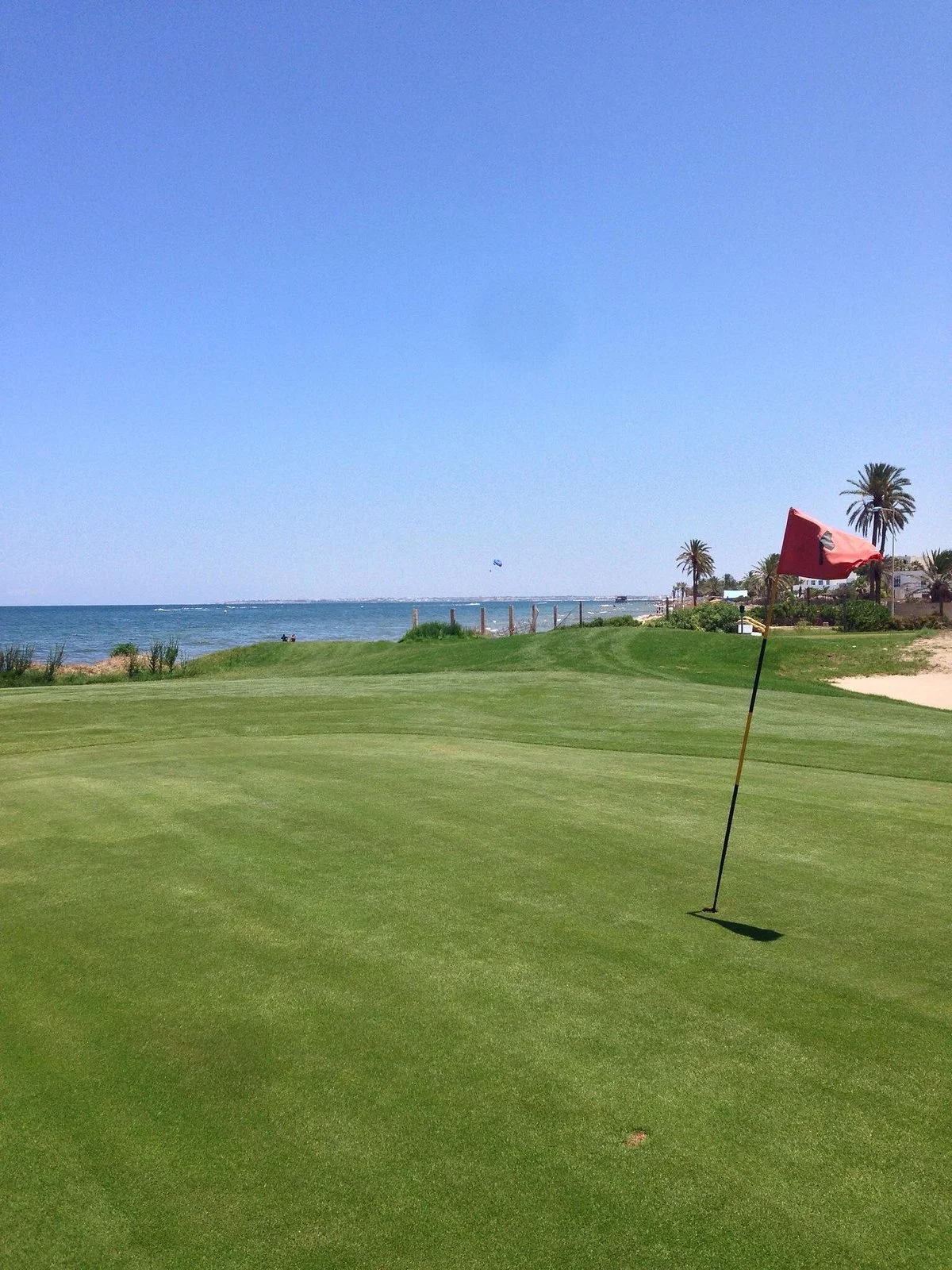 Palm Links Golf Course
