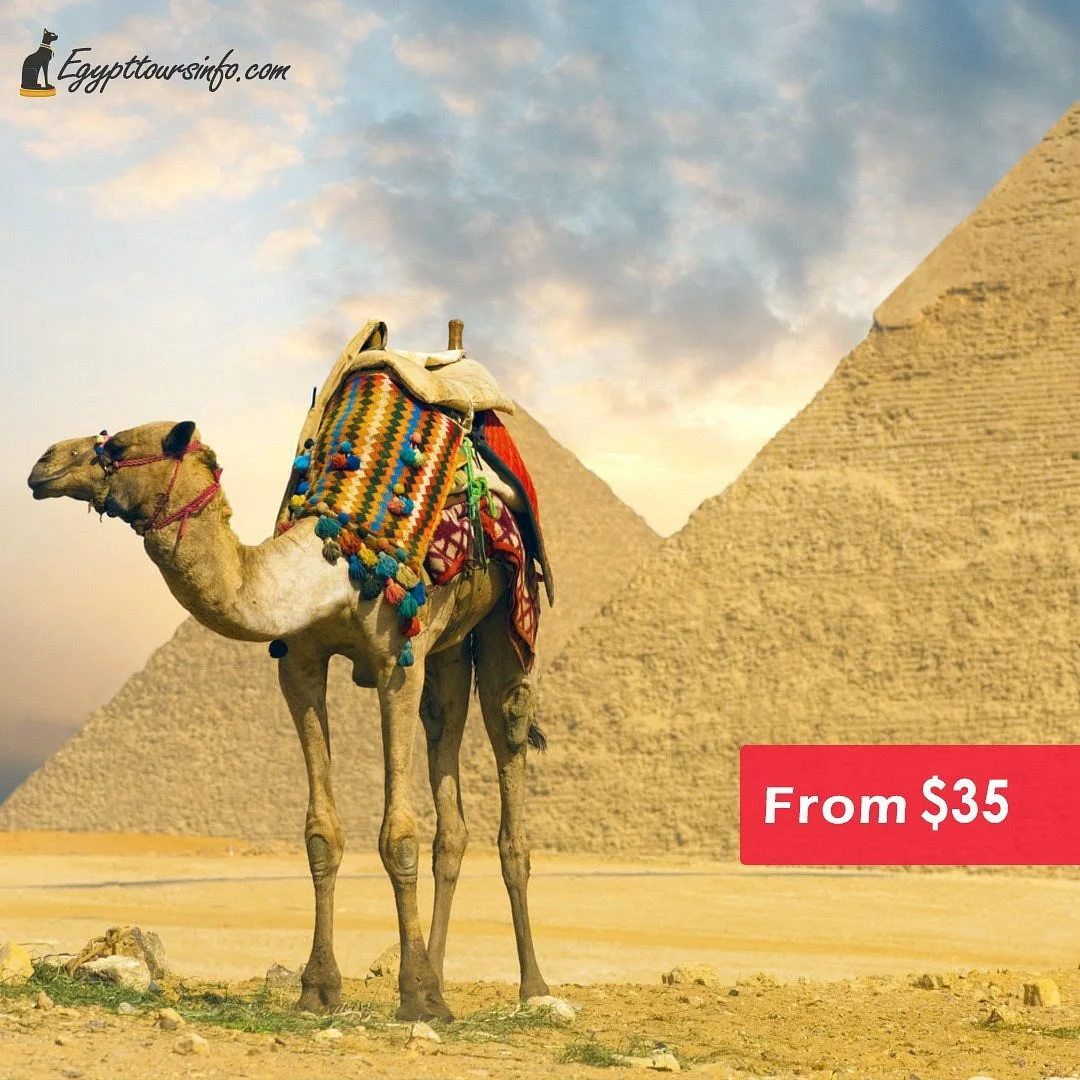 Egypt Tours Info Day Tours
