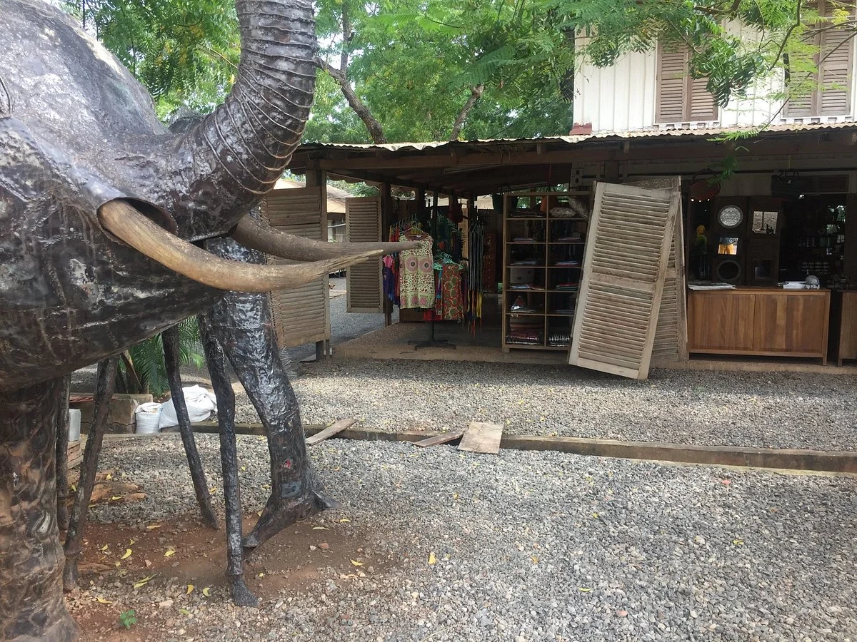 Wild Gecko Handicrafts