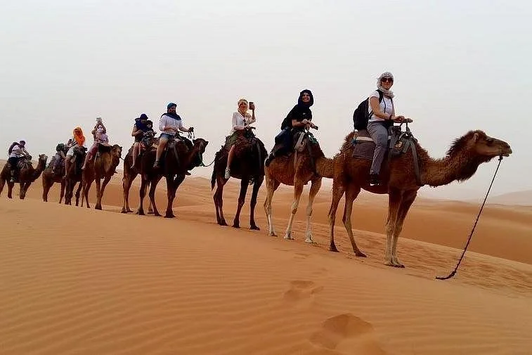 Private desert journy