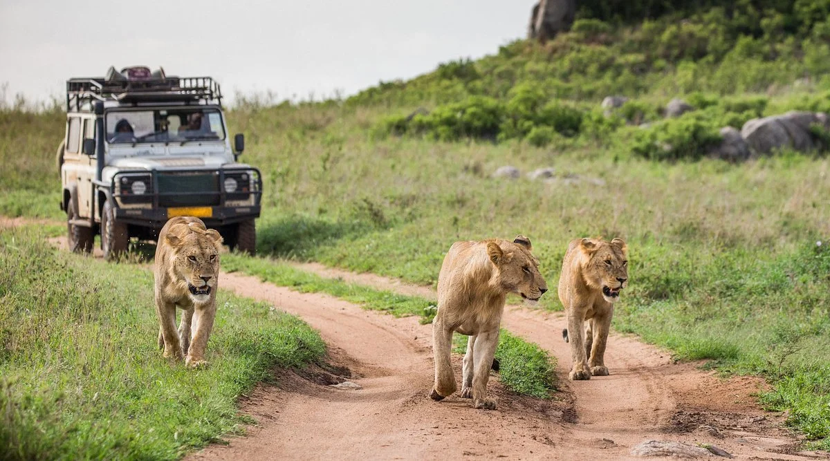 Apexx Tours Tanzania
