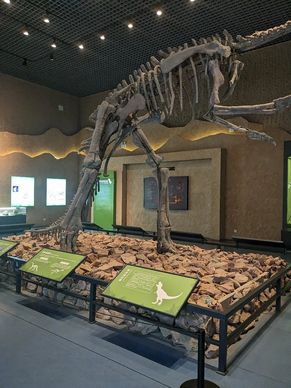 Anhui Museum