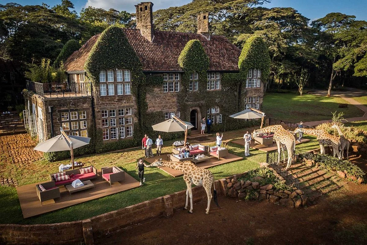 Wild Africa Expeditions