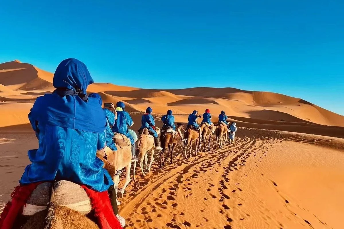 Sahara Safaris