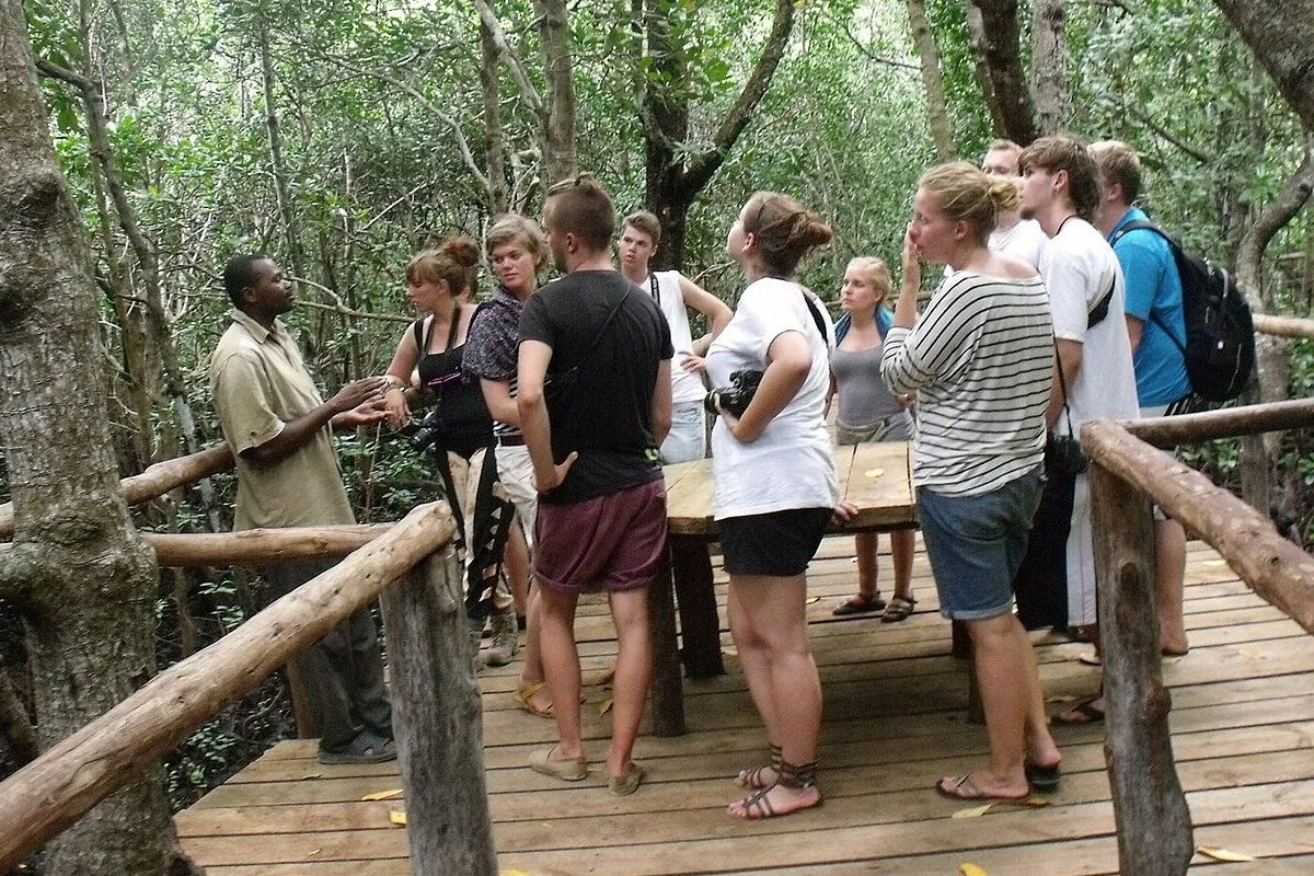 Zanzibar Lagoon Tour