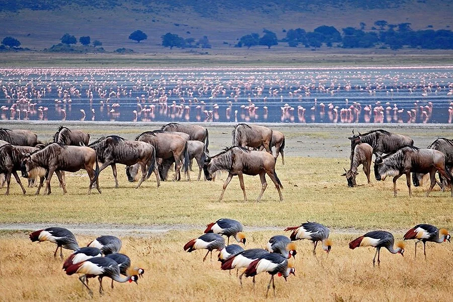 Secret Of Africa Adventures