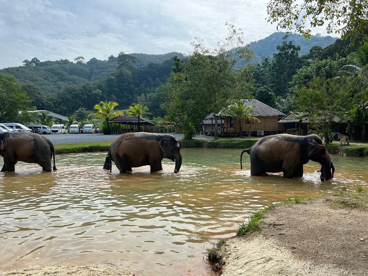 Green Elephant Sanctuary Park